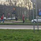 Fotka nr 4 z 5