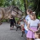 zdjęcie nr 13