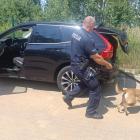 Policja