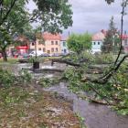 zdjęcie nr 8