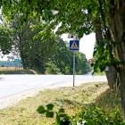 zdjęcie nr 8