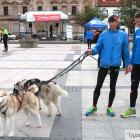 zdjęcie nr 24