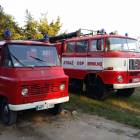 Fotka nr 4 z 31