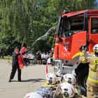 Fotka nr 4 z 137