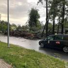 zdjęcie nr 11