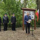 zdjęcie nr 37