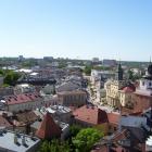 zdjęcie nr 14
