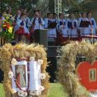 zdjęcie nr 14