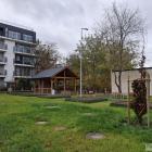 zdjęcie nr 8