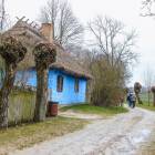 zdjęcie nr 39