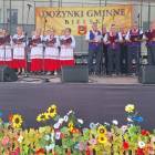 zdjęcie nr 15