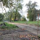 zdjęcie nr 8