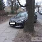 zdjęcie nr 8