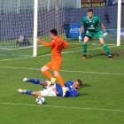 zdjęcie nr 17