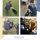 Fotka nr 0 z 1