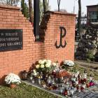 zdjęcie nr 37