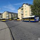Fotka nr 4 z 7
