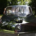 zdjęcie nr 44
