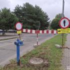 zdjęcie nr 13