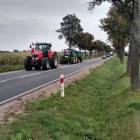 zdjęcie nr 11