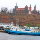 zdjęcie nr 11