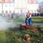 zdjęcie nr 207