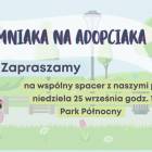 Fotka nr 4 z 5
