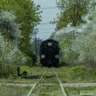 Fotka nr 1 z 13