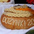 zdjęcie nr 40