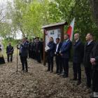 zdjęcie nr 10