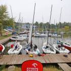 zdjęcie nr 4