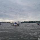Fotka nr 5 z 10