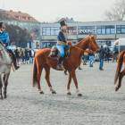Fotka nr 1 z 48