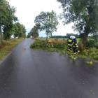 Fotka nr 5 z 38