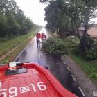 zdjęcie nr 8