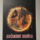 zdjęcie nr 30