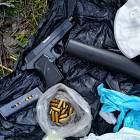 Fotka nr 1 z 11