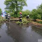 zdjęcie nr 11