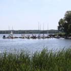zdjęcie nr 55