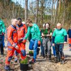 zdjęcie nr 23