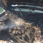 Fotka nr 3 z 4