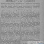 Fotka nr 5 z 10