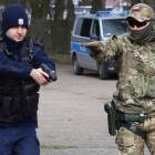 Fotka nr 3 z 13