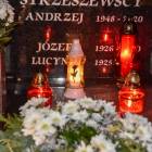 zdjęcie nr 19