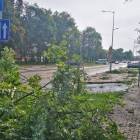 zdjęcie nr 7