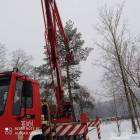 Fotka nr 5 z 6