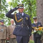zdjęcie nr 30