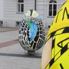 zdjęcie nr 12