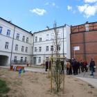 zdjęcie nr 8