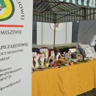 zdjęcie nr 99